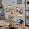 hofstein Chehalis Suspension, Boule lumineuse, Suspension Ambre, Fumé, 8 lumières