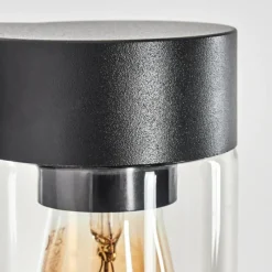 hofstein Encoberta Lampe murale d´extérieur Noir, 1 lumière