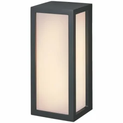 Luminaires Ledvance Endura Applique murale Gris, 1 lumière