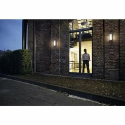 Luminaires Ledvance Endura Applique murale Gris, 1 lumière