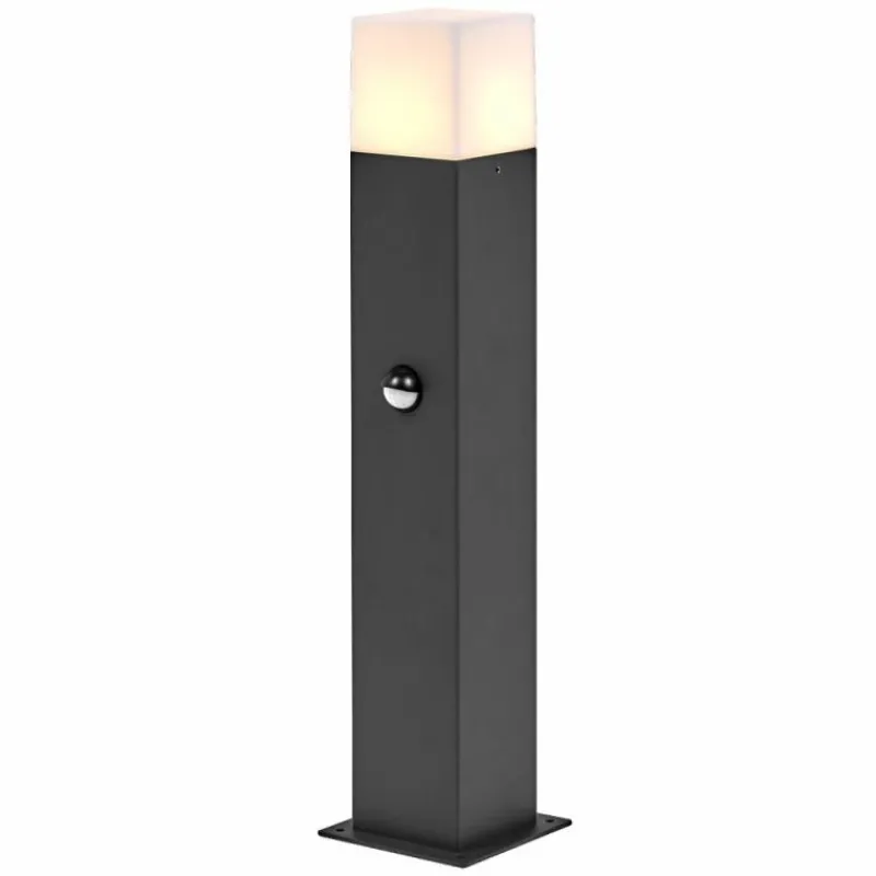 Luminaires Ledvance Endura Applique murale Gris, 1 lumière