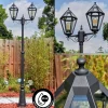 Luminaires Rustiques-hofstein Falfosa Luminaire extérieur, Réverbère, Eclairage de chemin Noir, 2 lumières