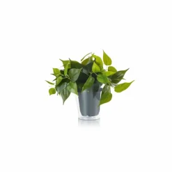 Luminaires Trio fleur Trio Plant LED Vert