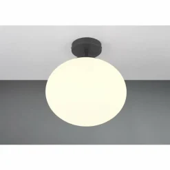 Luminaires Trio Fomento Plafonnier Noir, 1 lumière