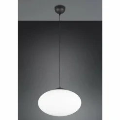 Luminaires Trio Fomento Suspension Noir, 1 lumière