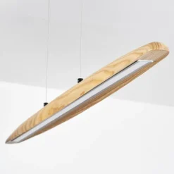 Lampes Vintages & Rétros-hofstein Fugelsta Suspension, Suspension LED Noir, 1 lumière