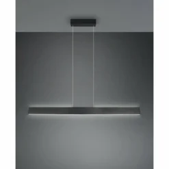 Luminaires Trio Galway Suspension LED Noir, 1 lumière* Éclairage Led