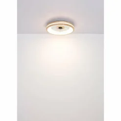 Luminaires Globo Lighting Gatian Ventilateur de plafond lumineux LED Brun foncé, Blanc, 1 lumière, Télécommandes