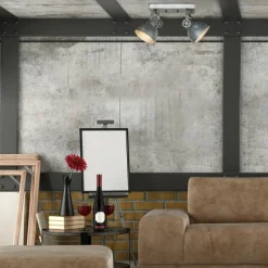 Lampes Industrielles-Luminaires Steinhauer Gearmetal Plafonnier, Spot de plafond Argent Oxydé, 2 lumières