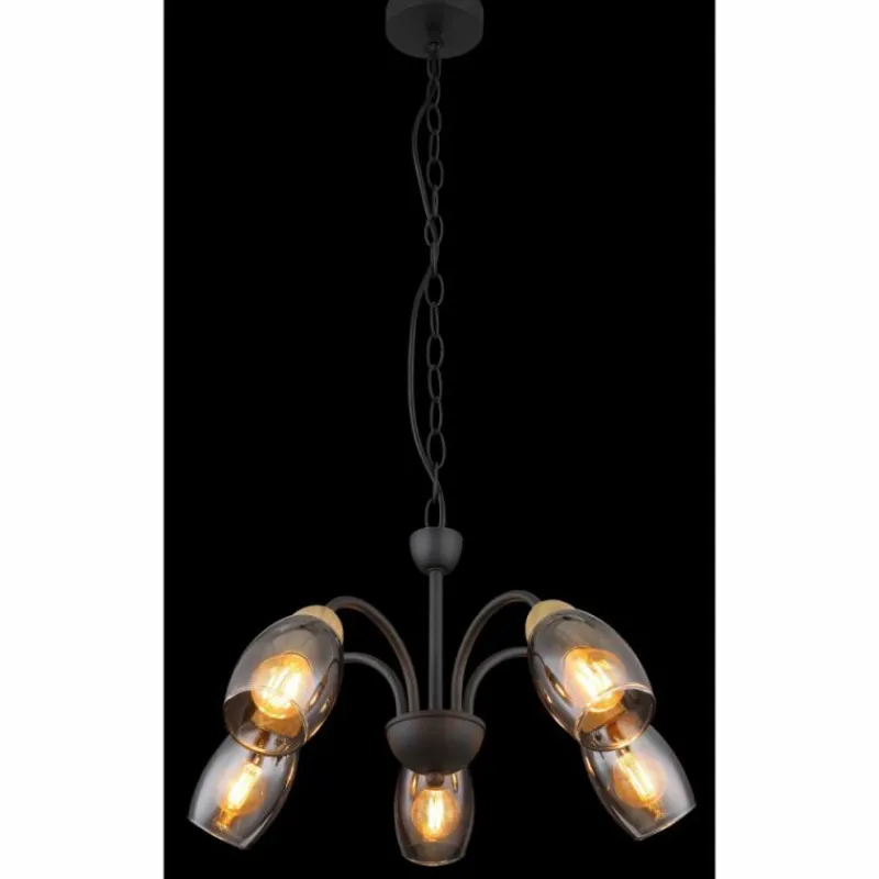 Suspension Verre Fumé-Luminaires Globo Lighting GERLY Suspension Noir, 5 lumières