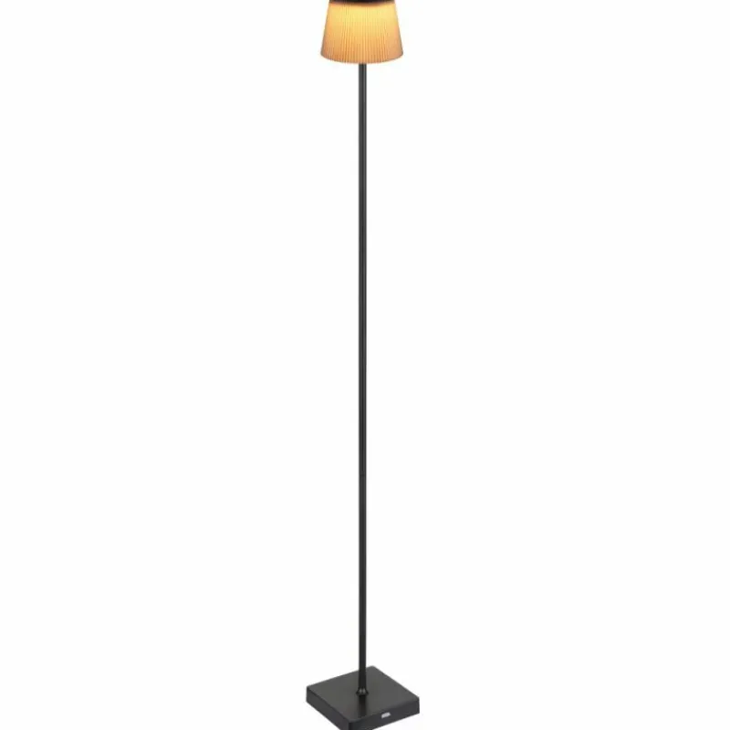 Luminaires Globo Lighting Gregoir Lampadaire LED Noir, 1 lumière