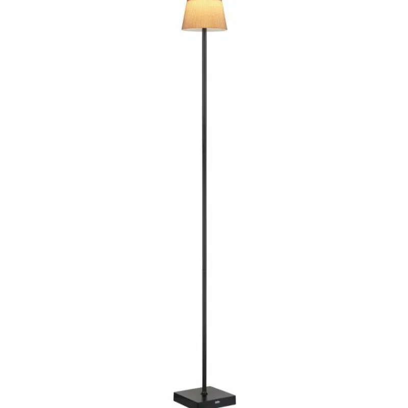 Luminaires Globo Lighting Gregoir Lampadaire LED Noir, 1 lumière