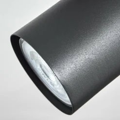 hofstein Guardais Plafonnier, Spot de plafond Brun, Couleur bois, Noir, 1 lumière