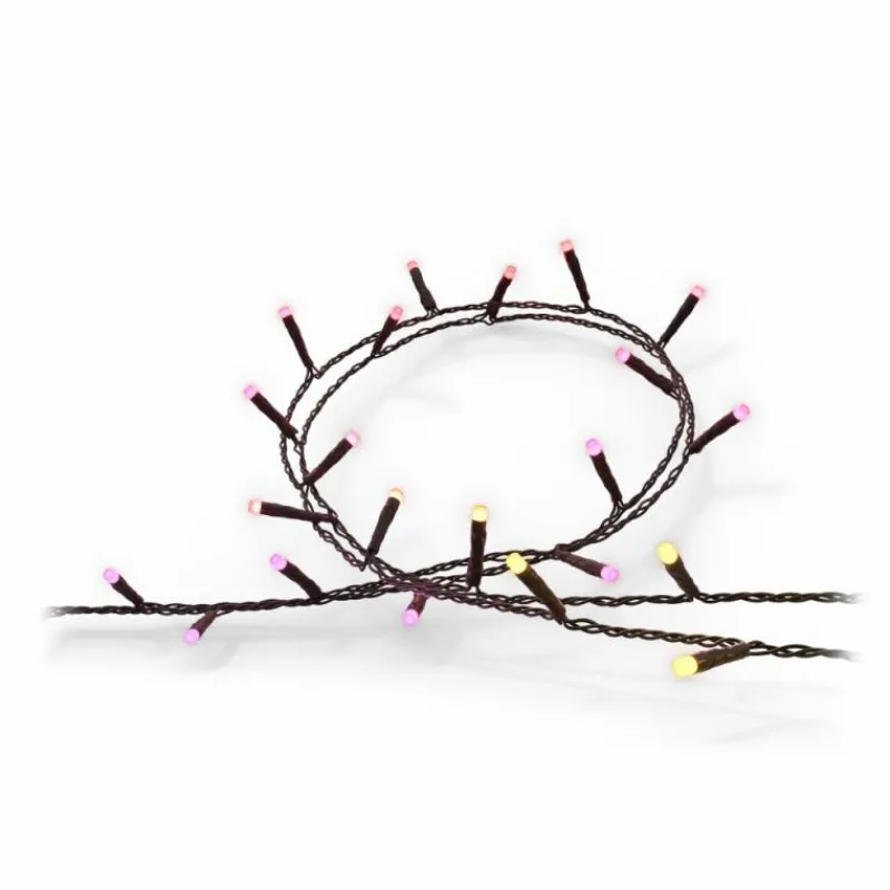 Luminaires Philips Guirlande Philips Hue Festavia LED Noir, 250 lumières, Changeur de couleurs