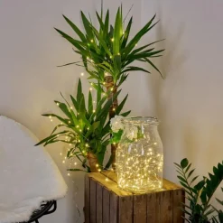 hofstein Guirlande solaire Pistoia LED Blanc, 120 lumières