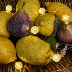 hofstein Guirlande Sondrio LED, 20 lumières