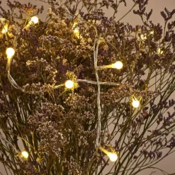 hofstein Guirlande Sondrio LED, 100 lumières