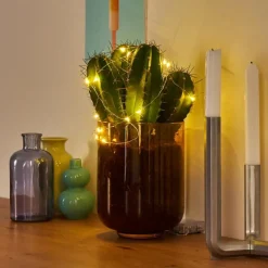 hofstein Guirlande Sondrio LED, 20 lumières