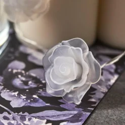 hofstein Guirlande Sondrio LED, 30 lumières