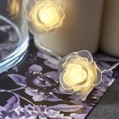 hofstein Guirlande Sondrio LED, 30 lumières