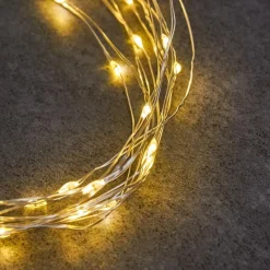 hofstein Guirlande Sondrio LED, 50 lumières