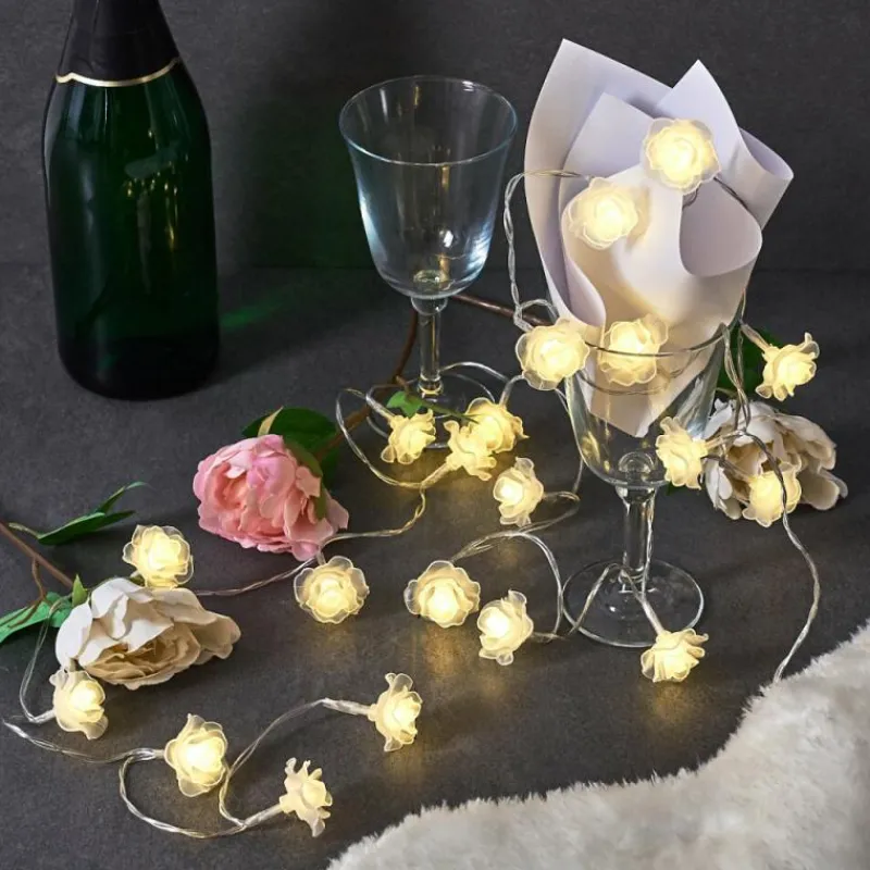 hofstein Guirlande Sondrio LED, 20 lumières