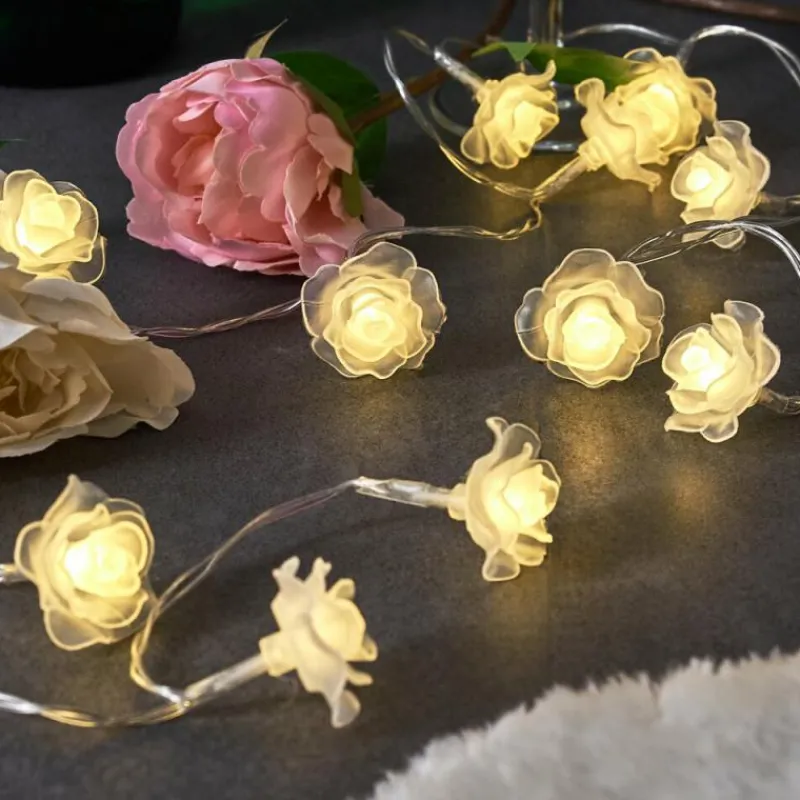 hofstein Guirlande Sondrio LED, 20 lumières