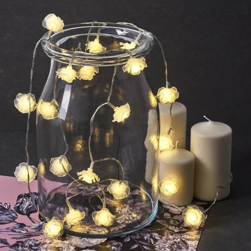 hofstein Guirlande Sondrio LED, 20 lumières