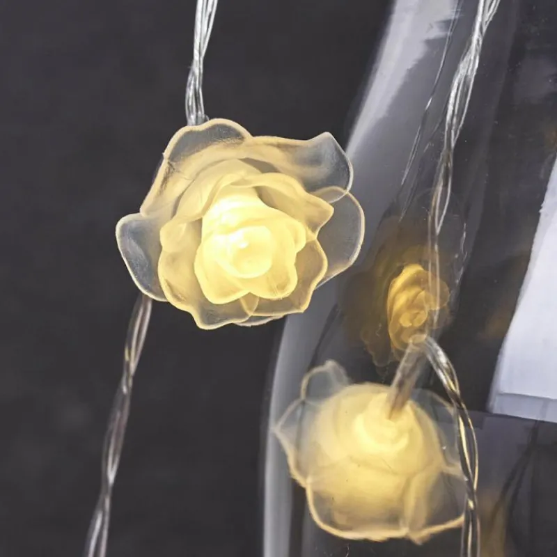 hofstein Guirlande Sondrio LED, 20 lumières