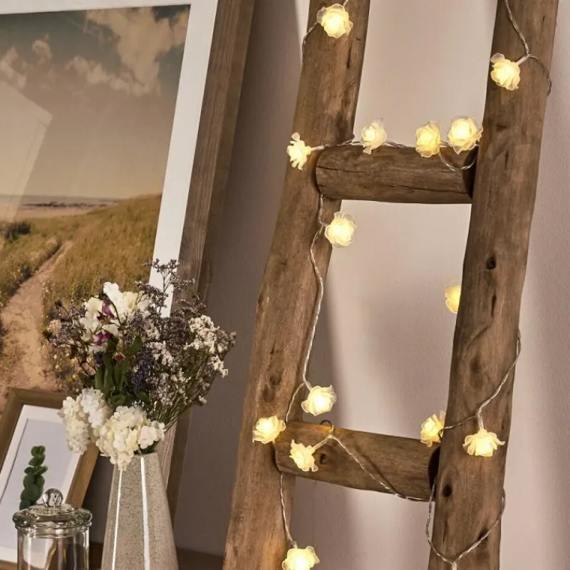 hofstein Guirlande Sondrio LED, 20 lumières