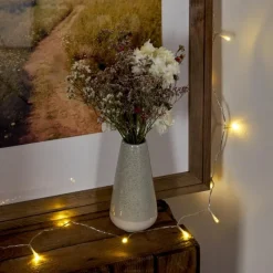 hofstein Guirlande Sondrio LED Blanc, 20 lumières