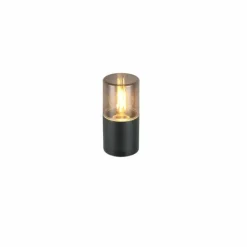Luminaires Trio HOOSIC Applique murale Noir, 1 lumière