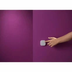 Luminaires Philips interrupteur Philips WiZ Blanc
