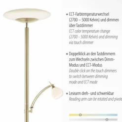 Luminaires Paul Neuhaus Lampadaire à vasque Paul Neuhaus TROJA LED Laiton, 1 lumière* Éclairage Led