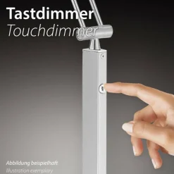 Luminaires Paul Neuhaus Lampadaire à vasque Paul Neuhaus TROJA LED Laiton, 1 lumière* Éclairage Led