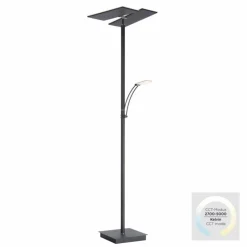 Luminaires Paul Neuhaus Lampadaire à vasque Paul Neuhaus ARTUR LED Anthracite, 1 lumière* Éclairage Led