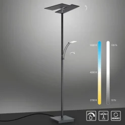 Luminaires Paul Neuhaus Lampadaire à vasque Paul Neuhaus ARTUR LED Anthracite, 1 lumière* Éclairage Led