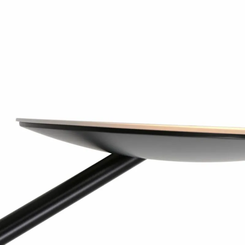 Luminaires Steinhauer Lampadaire à vasque Steinhauer Daphne LED Noir, 2 lumières* Éclairage Led