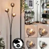 hofstein Lampadaire - Verre 10 cm Bernado Clair, Fumé, 3 lumières