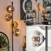 hofstein Lampadaire - Verre 15 cm Gastor Clair, Fumé, 4 lumières