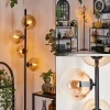hofstein Lampadaire - Verre 15 cm Gastor Ambre, Clair, 4 lumières