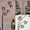 hofstein Lampadaire - Verre 15 cm Gastor Clair, Fumé, 5 lumières
