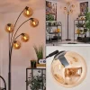 hofstein Lampadaire - Verre 15 cm Gastor Ambre, 5 lumières