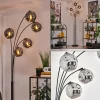 hofstein Lampadaire - Verre 15 cm Ripoll Fumé, 5 lumières