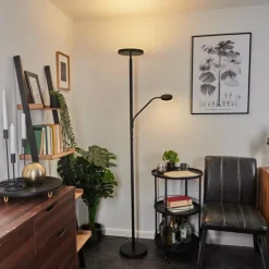 hofstein Lampadaire Busswil LED Noir, 2 lumières