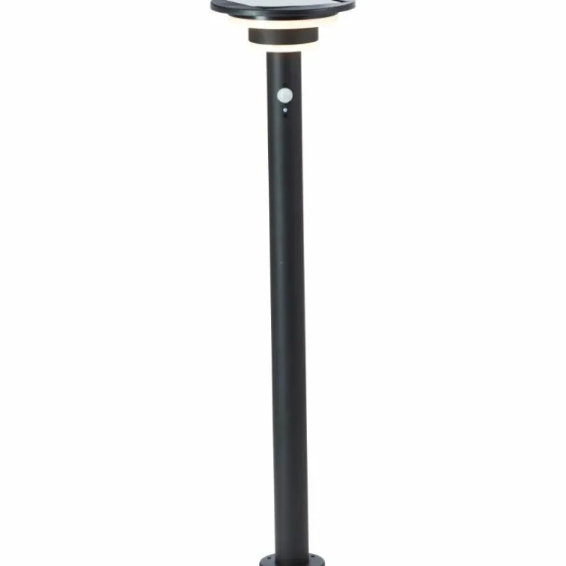 Luminaires Brilliant Lampadaire d'extérieur Brilliant Garvina LED Noir, 1 lumière, Détecteur de mouvement