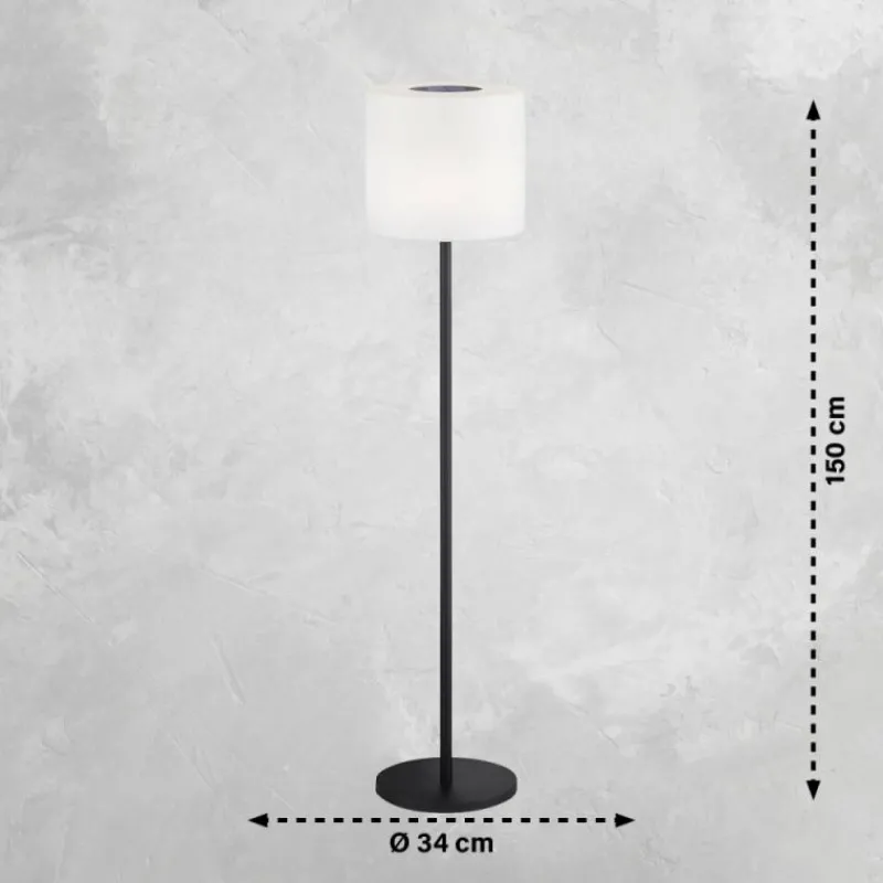 SCHÖNER WOHNEN-Kollektion Lampadaire d'extérieur LED Noir, 1 lumière, Télécommandes, Changeur de couleurs