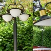 Lampes Dorées-hofstein Lampadaire d'extérieur Theux Or, Noir, 3 lumières