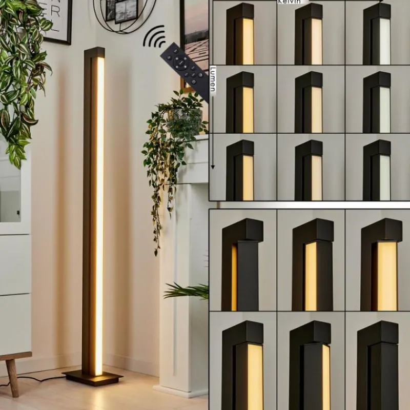 hofstein Lampadaire Dubuisson LED Anthracite, 1 lumière, Télécommandes