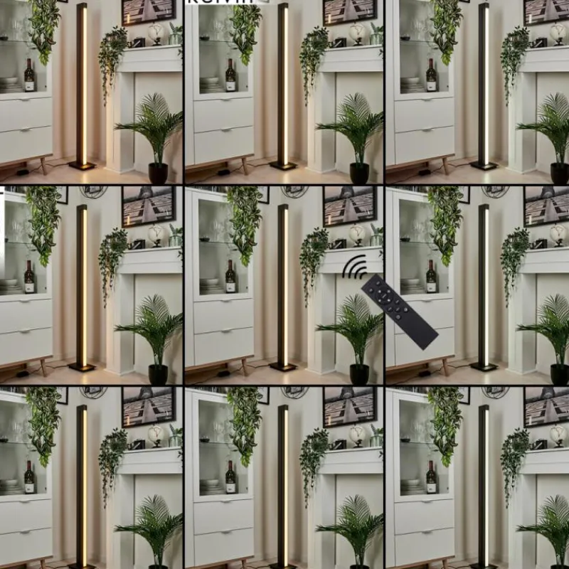 hofstein Lampadaire Dubuisson LED Anthracite, 1 lumière, Télécommandes